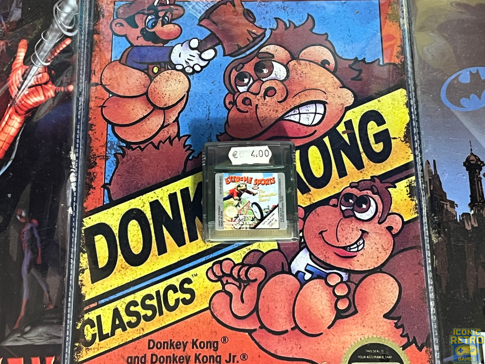 Nintendo Gameboy Color Extreme Sports With The Berenstain Bears