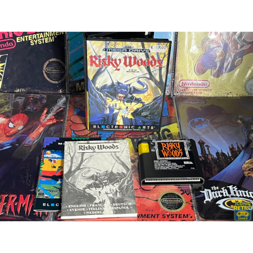Sega Megadrive Risky Woods